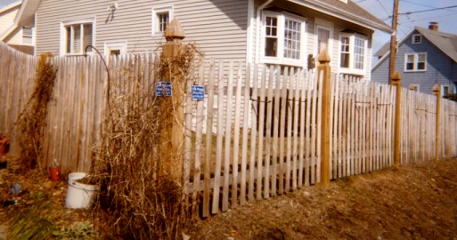 Spaced Picket Fence