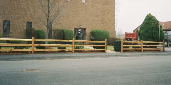 Cedar Fence